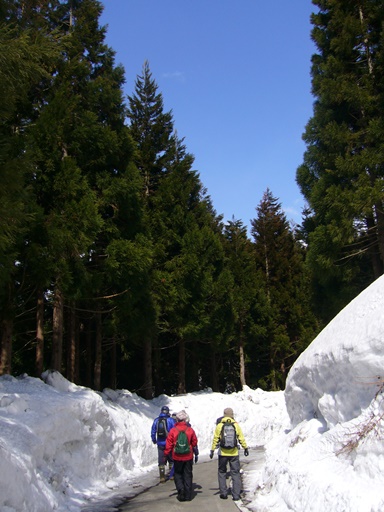 c0198781_11231041.jpg
