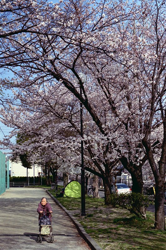 f0159784_1756218.jpg