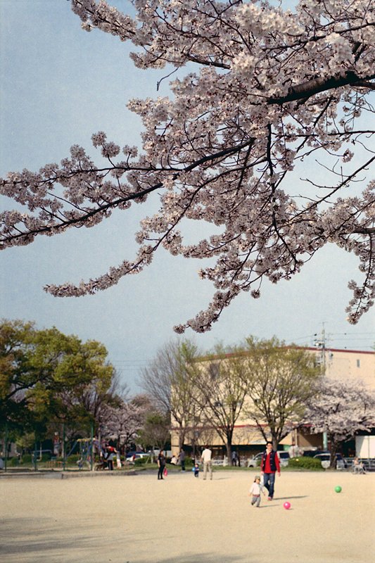 f0159784_17563396.jpg