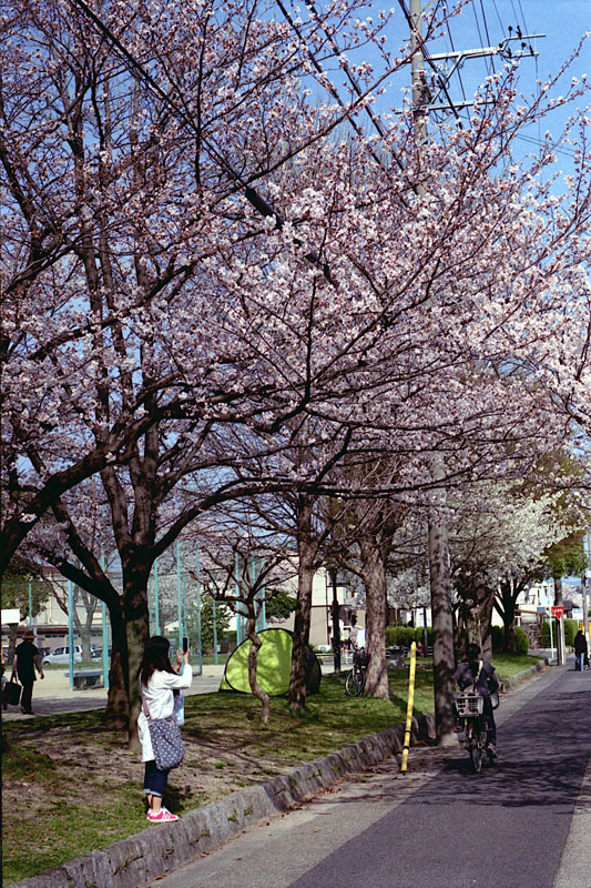 f0159784_1756458.jpg