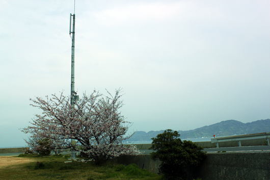f0257085_19525224.jpg
