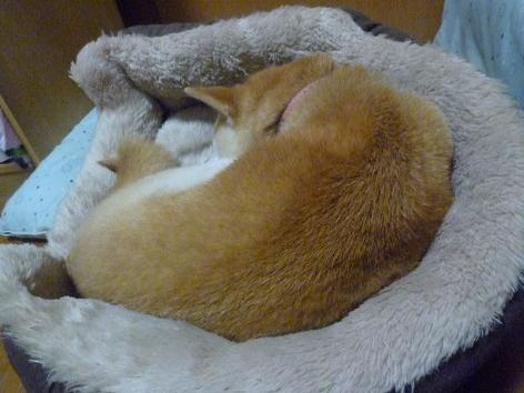 c0123890_2014515.jpg