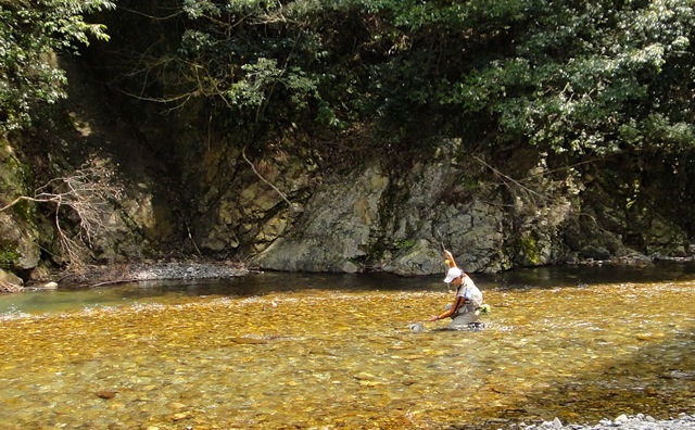 f0141392_8265617.jpg