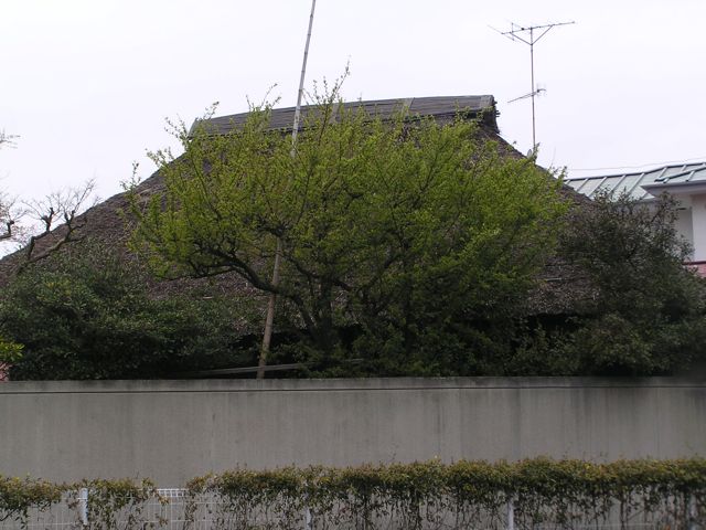 f0130894_2137128.jpg