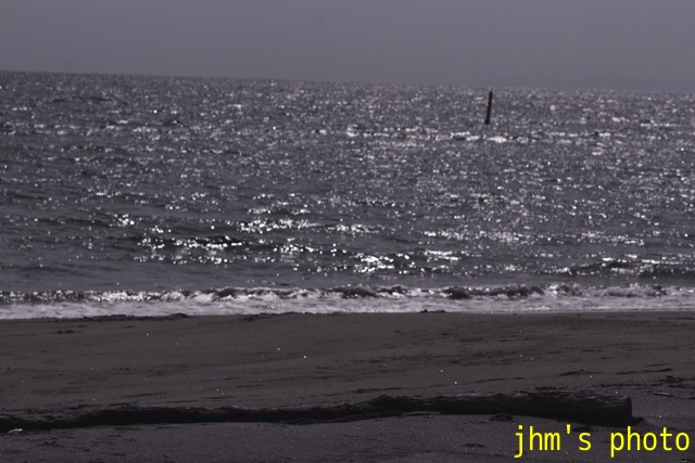 a0158797_2256254.jpg