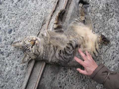 f0201297_20542748.jpg