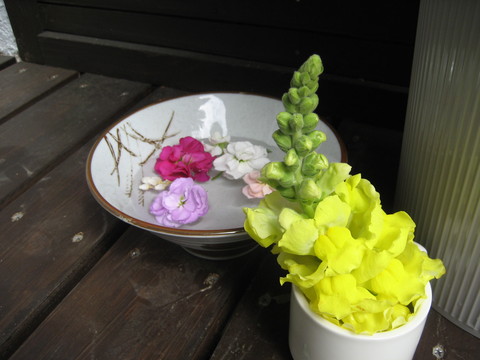 f0201297_2103166.jpg