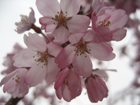 f0201297_2158959.jpg