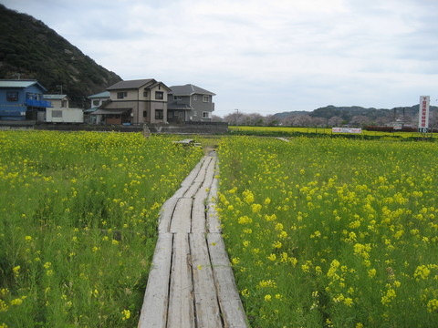 f0201297_2212278.jpg