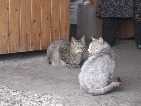 f0201297_9193142.jpg