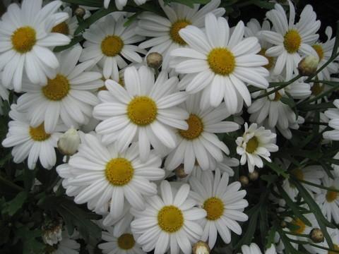 f0201297_9202119.jpg