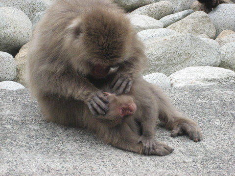 f0201297_956481.jpg