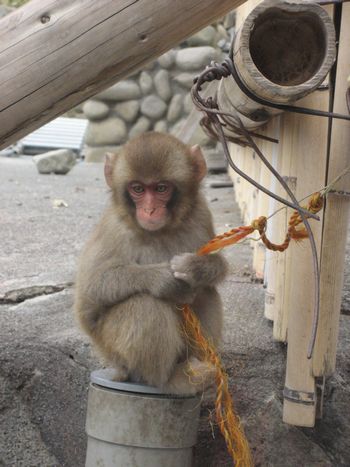 f0201297_98146.jpg
