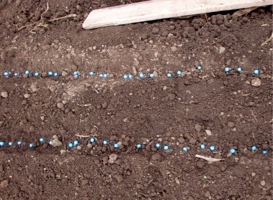 c0151898_13153934.jpg