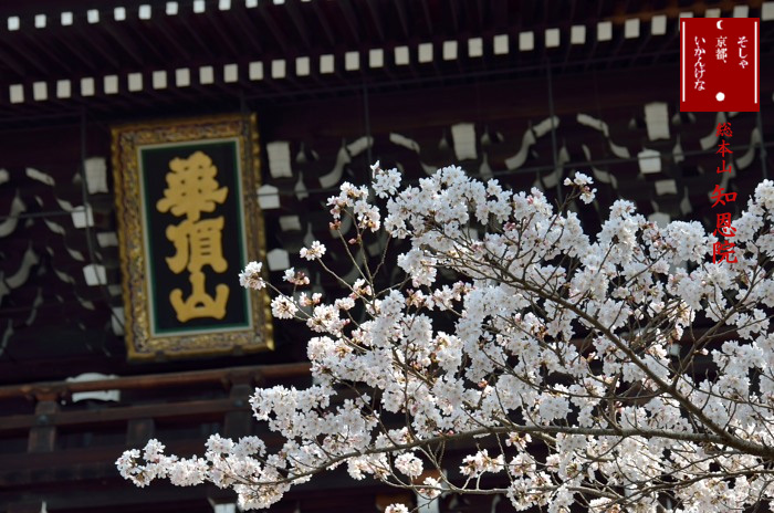 a0258099_21305313.jpg