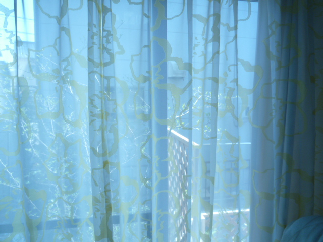 c0220700_92841.jpg