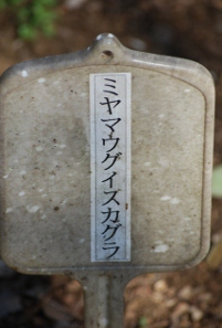 e0025300_218146.jpg