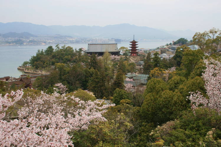 f0031304_752463.jpg