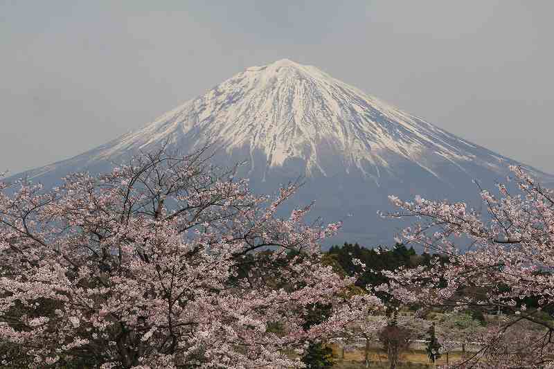 a0188405_20415326.jpg