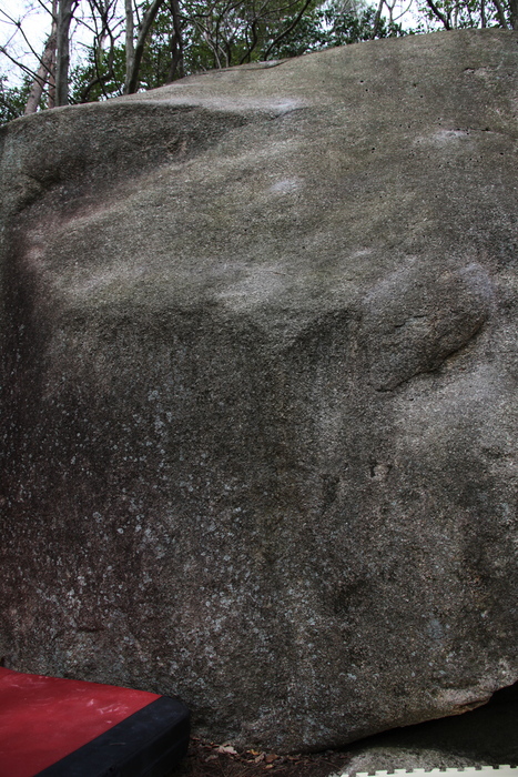 a0162707_035289.jpg