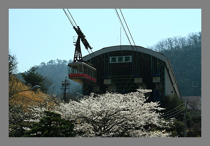 b0014607_19456100.jpg