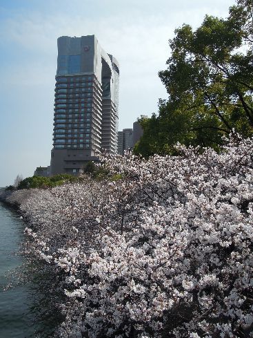 c0149408_21501382.jpg