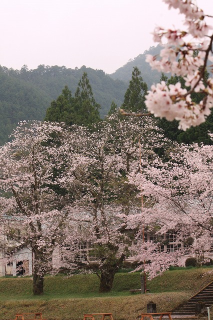d0154609_17121520.jpg
