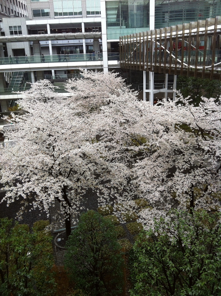 b0190710_23341866.jpg