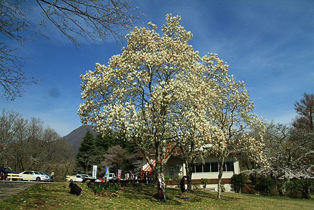 d0248814_19591493.jpg