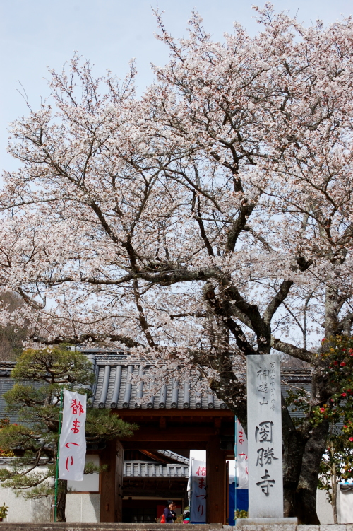 f0248120_2116937.jpg