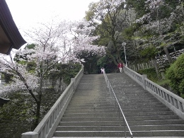 f0213825_1722085.jpg