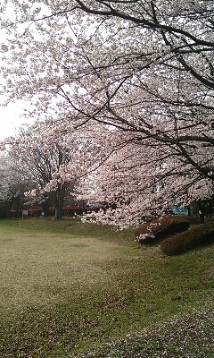 f0186330_1642211.jpg