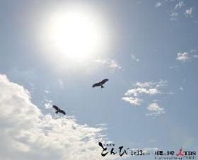 a0198131_0413418.jpg