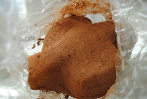 e0203331_7561526.jpg