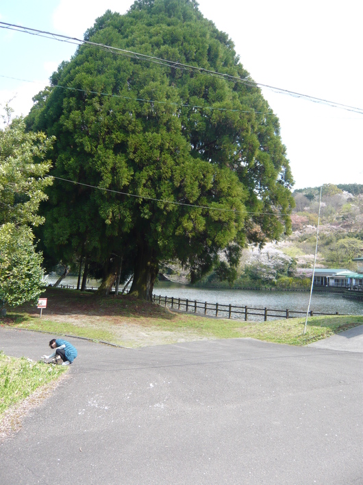 a0206332_9272647.jpg