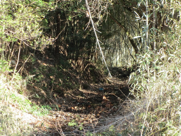b0197735_16482041.jpg