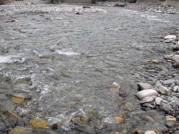d0119443_22214331.jpg