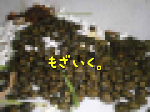 a0095546_23561514.jpg
