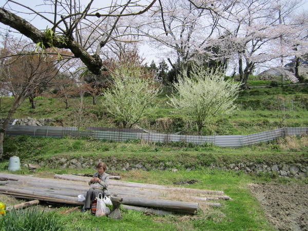b0132746_18264326.jpg