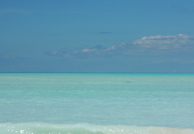 b0173754_618518.jpg