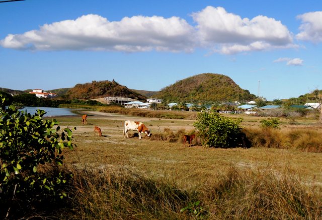b0173754_6375419.jpg