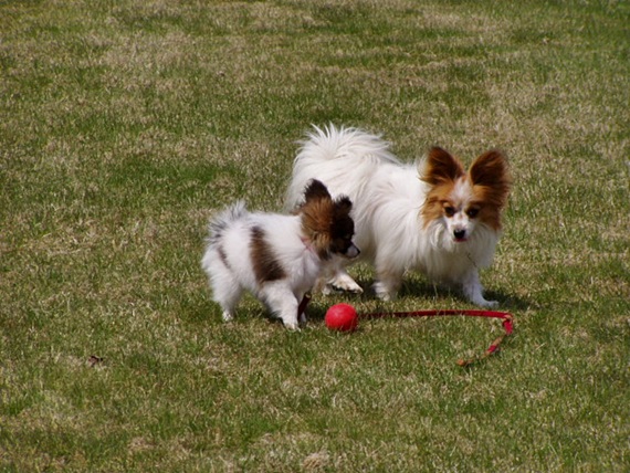 c0074156_14551086.jpg
