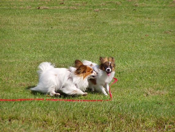 c0074156_14573341.jpg