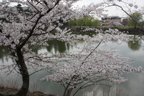 f0233356_2001117.jpg