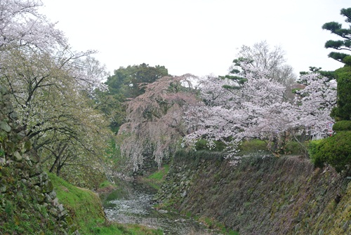 f0207664_9273758.jpg