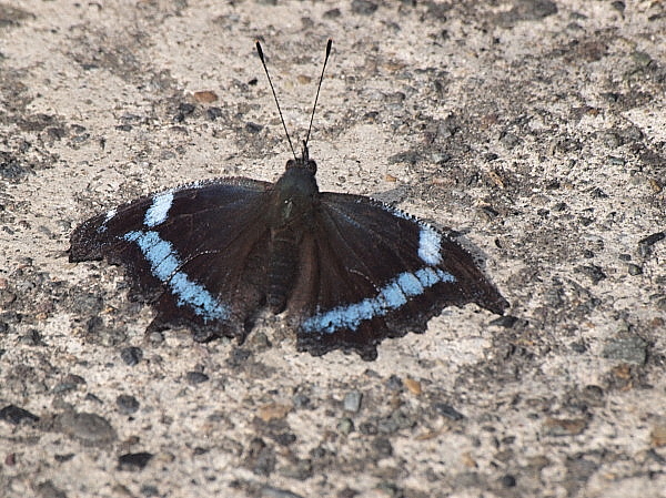f0215964_17152238.jpg