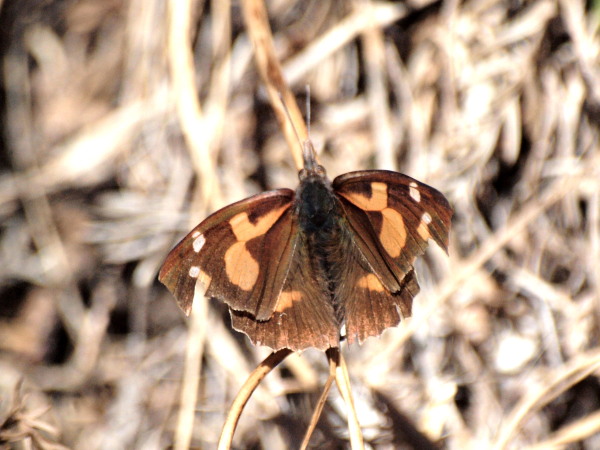 f0215964_1716379.jpg