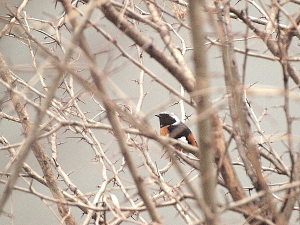 f0215964_17215183.jpg