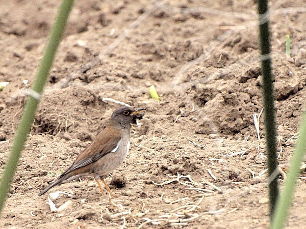 f0215964_17222917.jpg