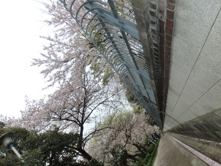 b0190666_23505643.jpg